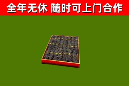 塔河县回收海参